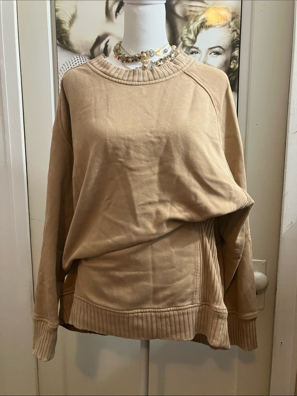 aerie Beige Crewneck Sweatshirt